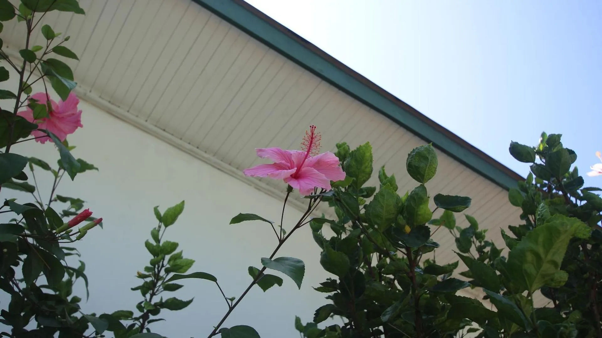 Pointe Au Sel 캐스트어웨이 로지 빌라 0*, Pointe Au Sel